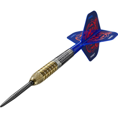 Target Raymond van Barneveld G6 23G
