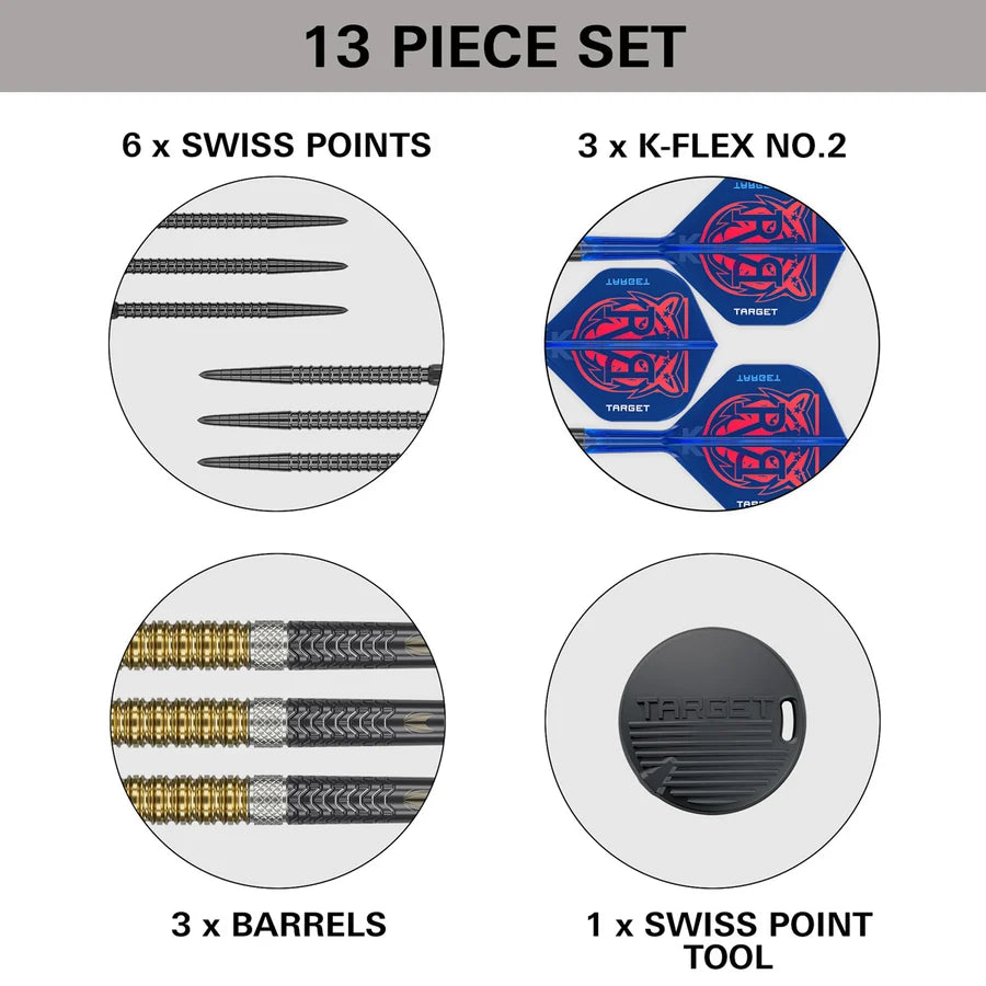 Target Raymond van Barneveld G6 23G